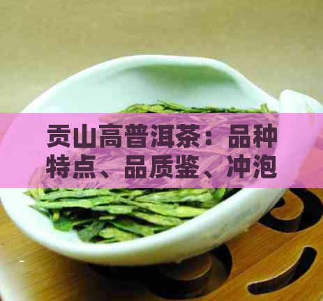 贡山高普洱茶：品种特点、品质鉴、冲泡方法与品鉴技巧全方位解析