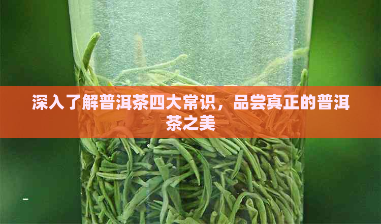 深入了解普洱茶四大常识，品尝真正的普洱茶之美