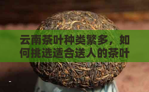 云南茶叶种类繁多，如何挑选适合送人的茶叶？