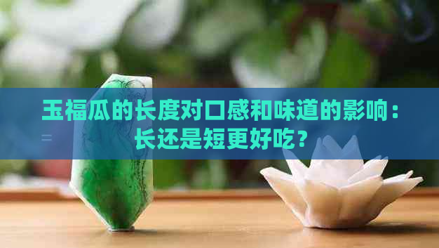 玉福瓜的长度对口感和味道的影响：长还是短更好吃？