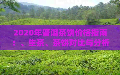 2020年普洱茶饼价格指南：、生茶、茶饼对比与分析