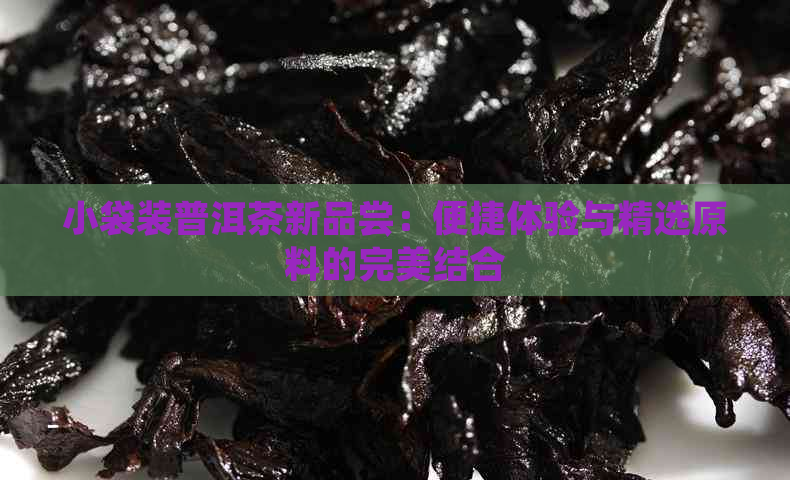 小袋装普洱茶新品尝：便捷体验与精选原料的完美结合