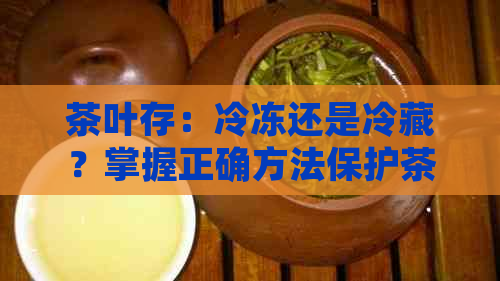 茶叶存：冷冻还是冷藏？掌握正确方法保护茶叶品质