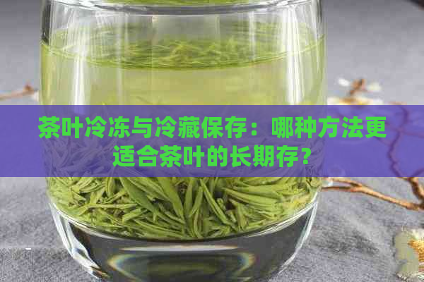 茶叶冷冻与冷藏保存：哪种方法更适合茶叶的长期存？