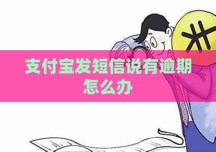 支付宝发短信说有逾期怎么办