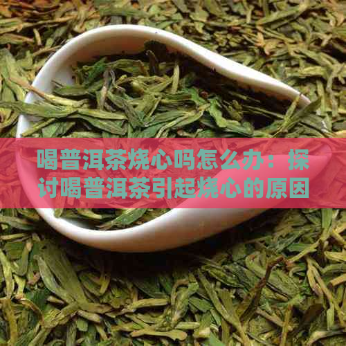 喝普洱茶烧心吗怎么办：探讨喝普洱茶引起烧心的原因及解决方法