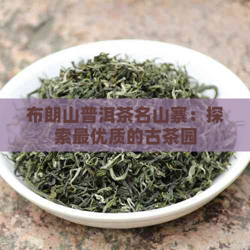 布朗山普洱茶名山寨：探索更优质的古茶园