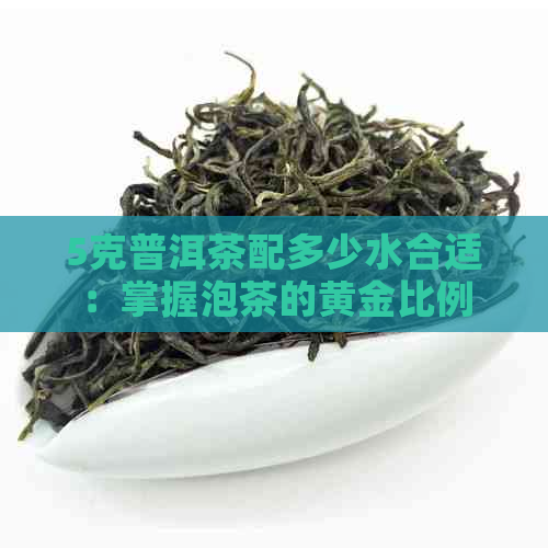 5克普洱茶配多少水合适：掌握泡茶的黄金比例