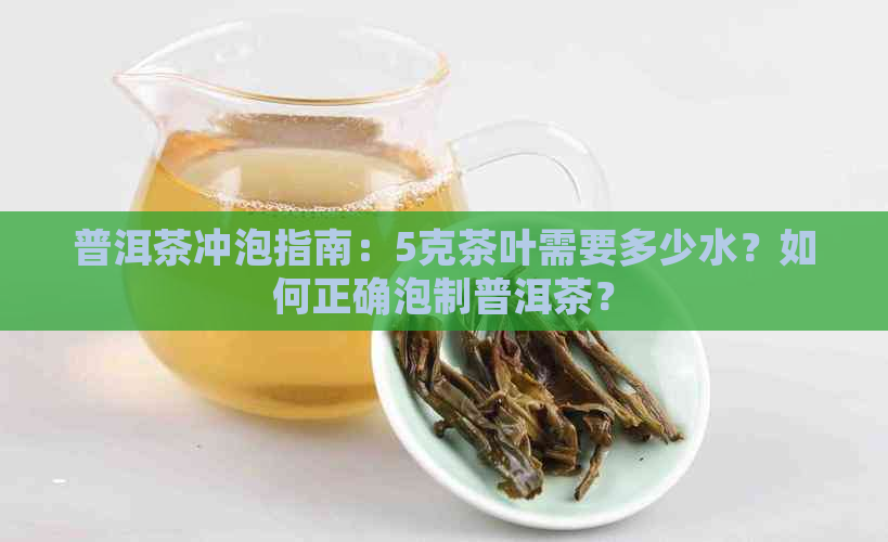 普洱茶冲泡指南：5克茶叶需要多少水？如何正确泡制普洱茶？