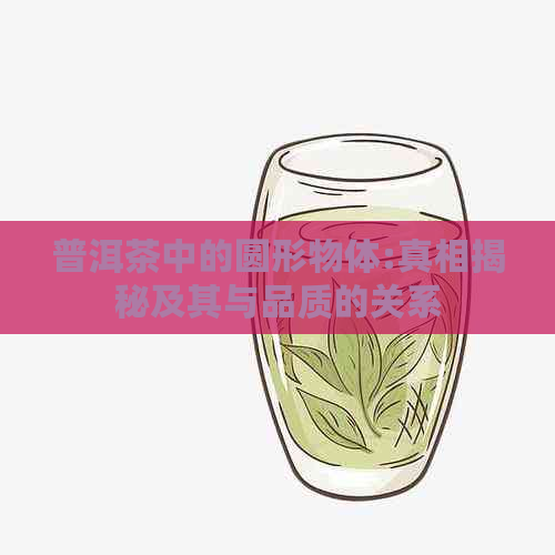 普洱茶中的圆形物体:真相揭秘及其与品质的关系