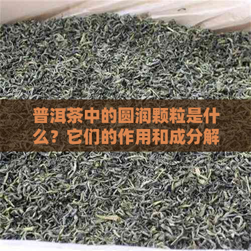 普洱茶中的圆润颗粒是什么？它们的作用和成分解析