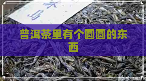 普洱茶里有个圆圆的东西