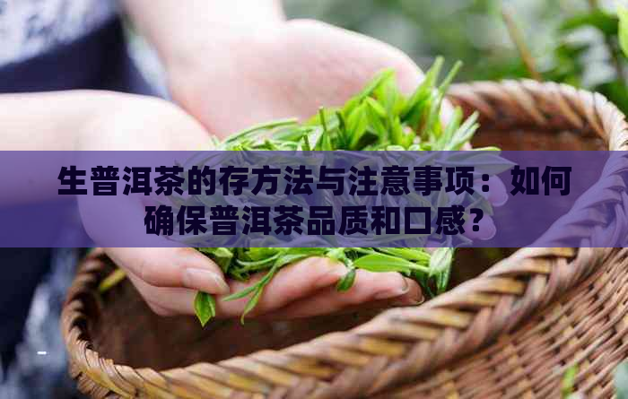 生普洱茶的存方法与注意事项：如何确保普洱茶品质和口感？