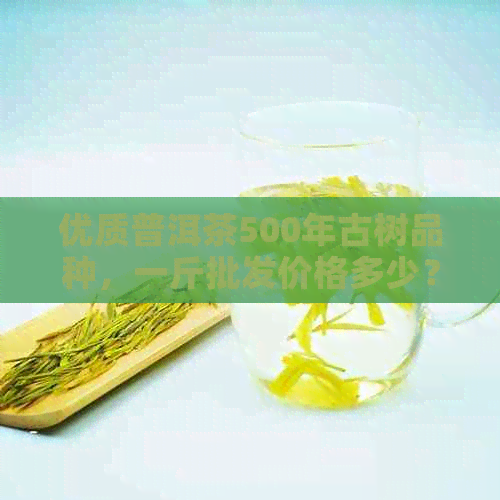 优质普洱茶500年古树品种，一斤批发价格多少？如何获取货源？