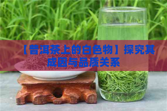 【普洱茶上的白色物】探究其成因与品质关系