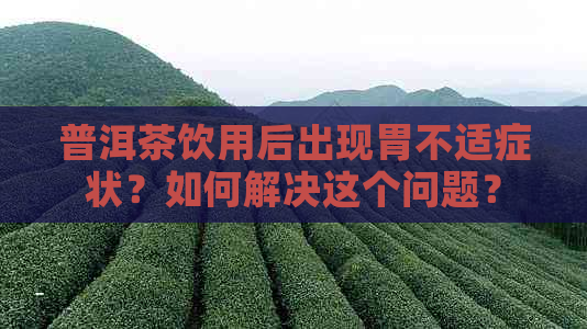 普洱茶饮用后出现胃不适症状？如何解决这个问题？