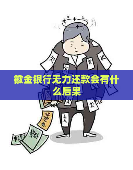 徽金银行无力还款会有什么后果