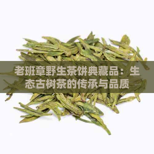 老班章野生茶饼典藏品：生态古树茶的传承与品质