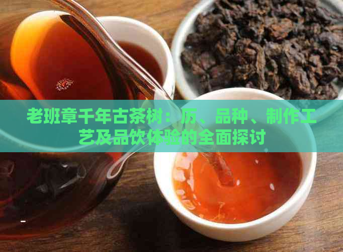 老班章千年古茶树：历、品种、制作工艺及品饮体验的全面探讨