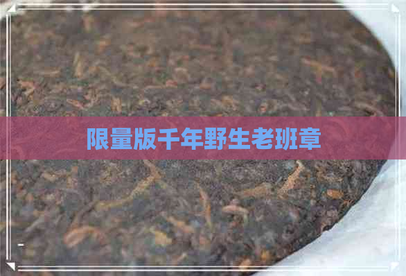 限量版千年野生老班章