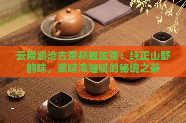 云南澜沧古茶邦崴生茶：纯正山野韵味，滋味浓细腻的秘境之茶