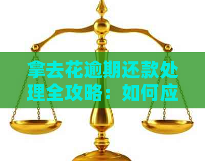 拿去花逾期还款处理全攻略：如何应对和避免罚息