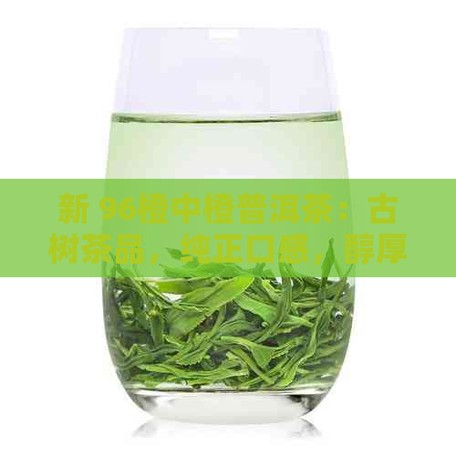 新 96橙中橙普洱茶：古树茶品，纯正口感，醇厚香气，健之选