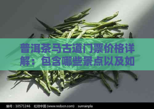 普洱茶马古道门票价格详解：包含哪些景点以及如何购买门票？