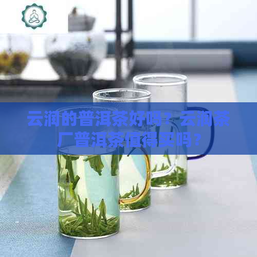 云润的普洱茶好吗？云润茶厂普洱茶值得买吗？