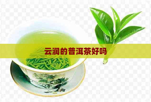 云润的普洱茶好吗