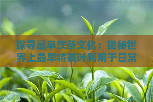 探寻最早饮茶文化：揭秘世界上最早将茶叶利用于日常生活的