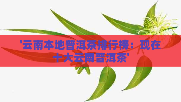 '云南本地普洱茶排行榜：现在十大云南普洱茶'