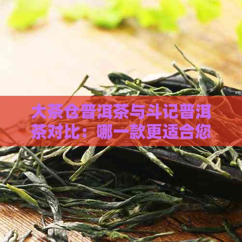 大茶仓普洱茶与斗记普洱茶对比：哪一款更适合您？