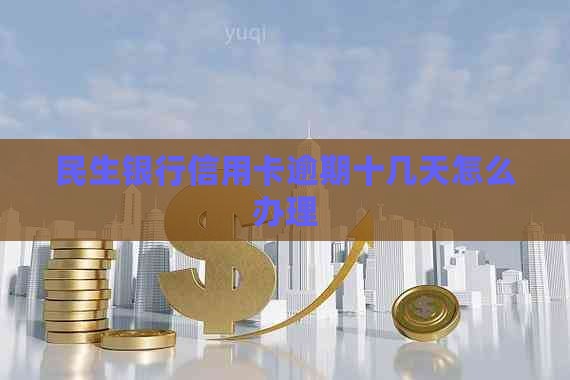 民生银行信用卡逾期十几天怎么办理