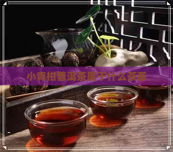 小青柑普洱茶属于什么茶系