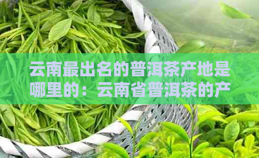 云南最出名的普洱茶产地是哪里的：云南省普洱茶的产地。