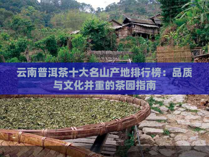 云南普洱茶十大名山产地排行榜：品质与文化并重的茶园指南