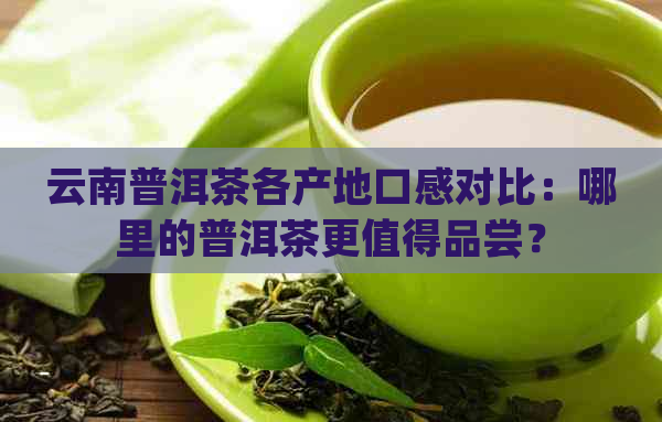 云南普洱茶各产地口感对比：哪里的普洱茶更值得品尝？