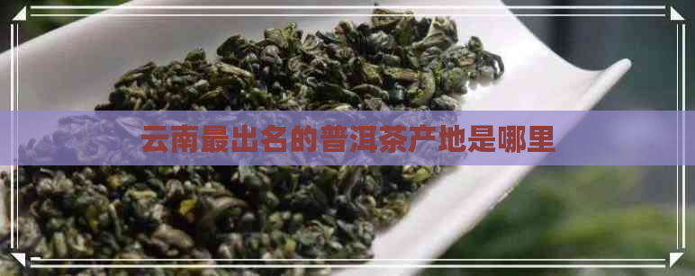 云南最出名的普洱茶产地是哪里