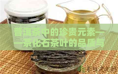 普洱茶中的珍贵元素——茶化石茶叶的品质与功效