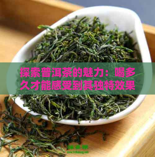 探索普洱茶的魅力：喝多久才能感受到其独特效果？