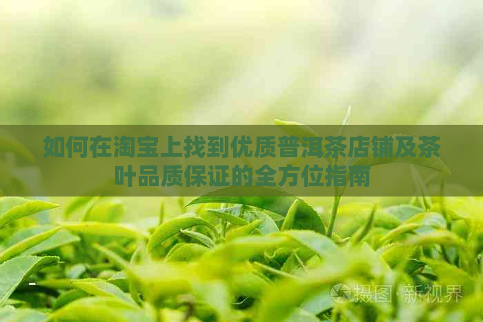 如何在淘宝上找到优质普洱茶店铺及茶叶品质保证的全方位指南