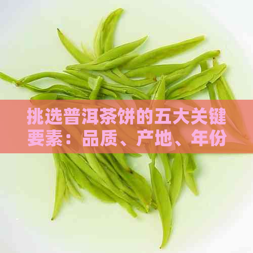 挑选普洱茶饼的五大关键要素：品质、产地、年份、口感与保存方法