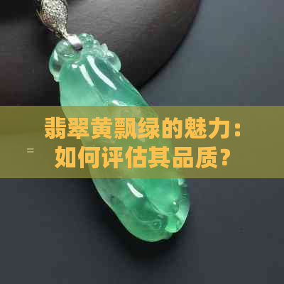 翡翠黄飘绿的魅力：如何评估其品质？