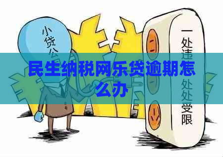 民生纳税网乐贷逾期怎么办