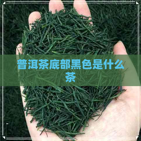 普洱茶底部黑色是什么茶