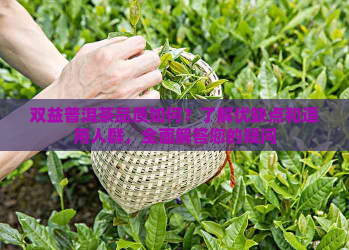 双益普洱茶品质如何？了解优缺点和适用人群，全面解答您的疑问