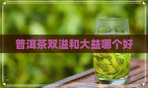 普洱茶双溢和大益哪个好