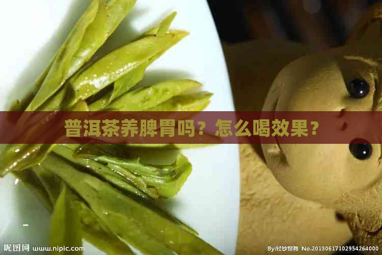 普洱茶养脾胃吗？怎么喝效果？