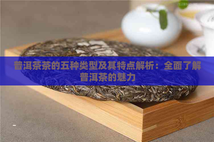 普洱茶茶的五种类型及其特点解析：全面了解普洱茶的魅力